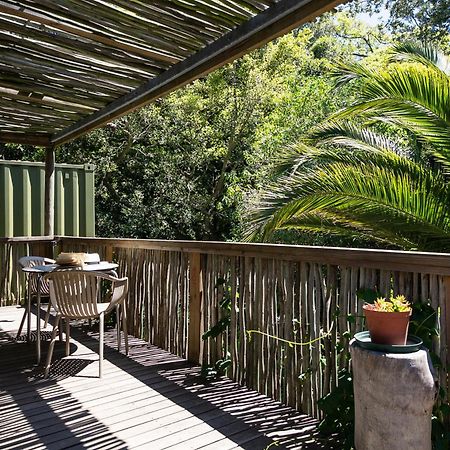 Camps Bay Forest Pods Cidade Do Cabo Exterior foto