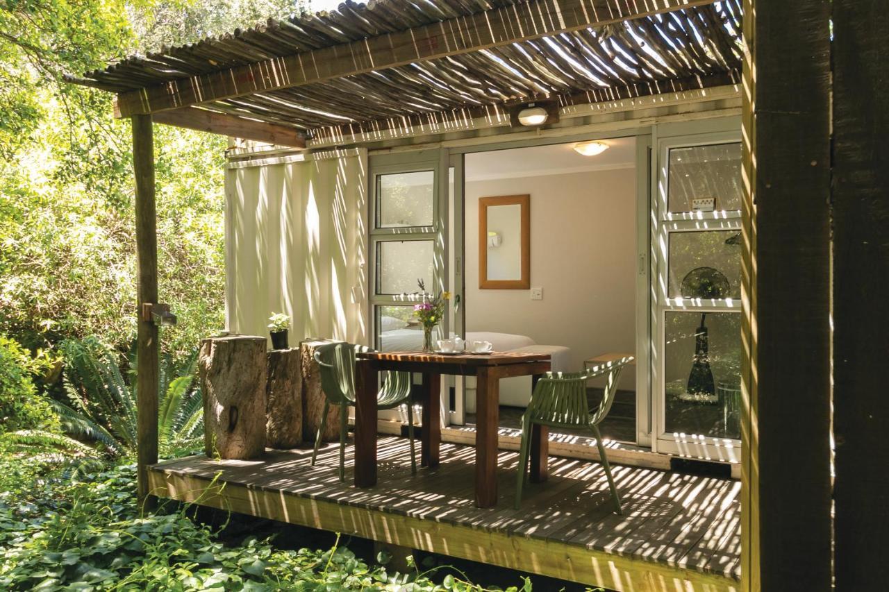 Camps Bay Forest Pods Cidade Do Cabo Exterior foto