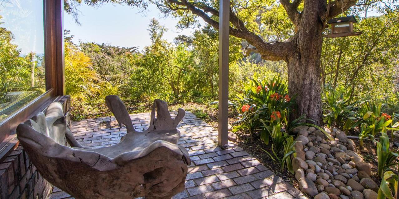 Camps Bay Forest Pods Cidade Do Cabo Exterior foto